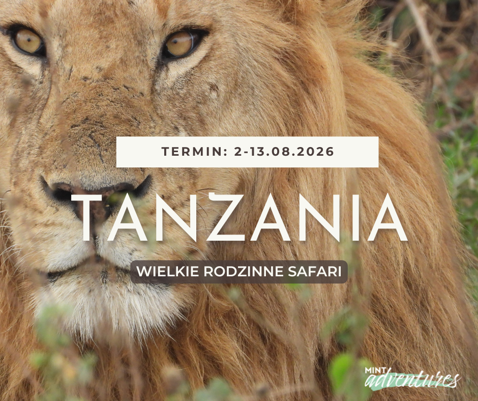 Rodzinne safari 4x4 Tanzania